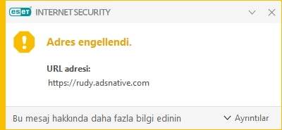 Rudy.adsnative.com nedir virüs mü Eset uyarıyor