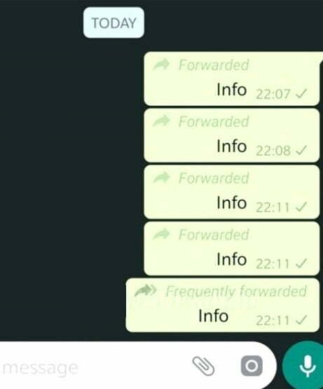 WhatsApp mesajı kaç kişi paylaştı görme özelliği