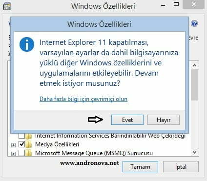 Internet Explorer yeniden kurma