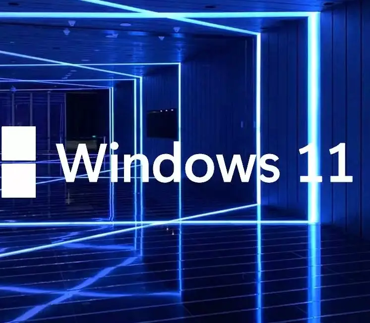 Windows 11 reset sorunu