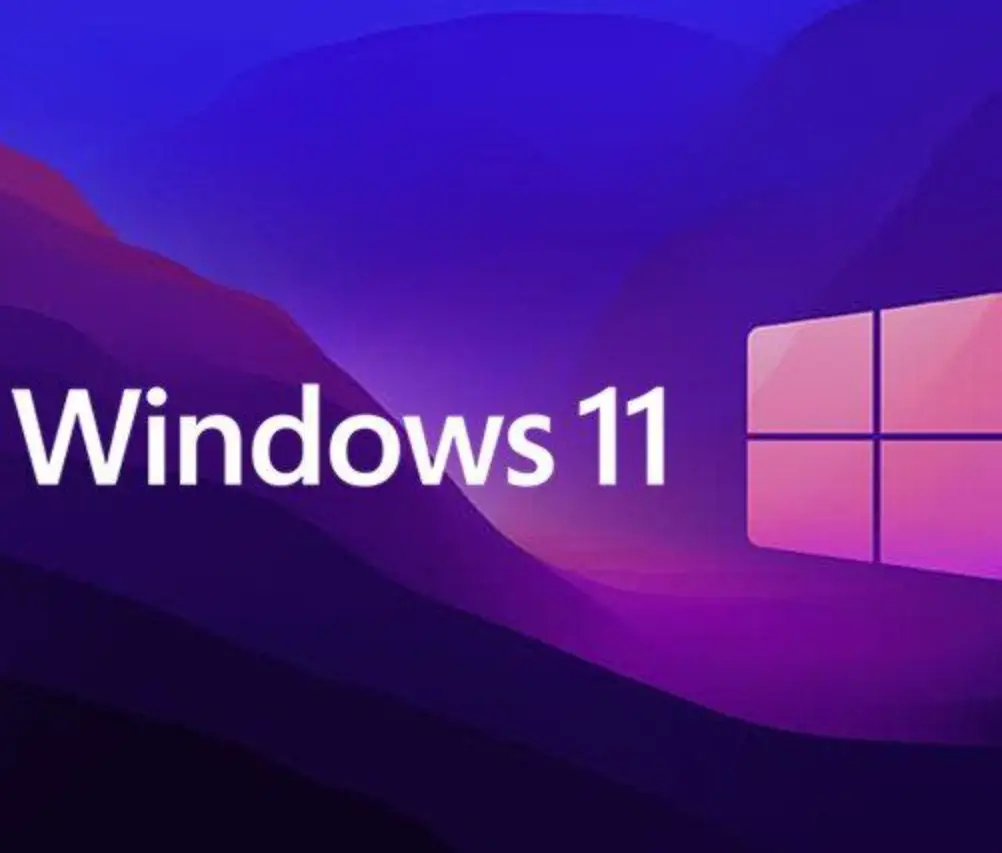 Windows 11 arama geçmişi silme