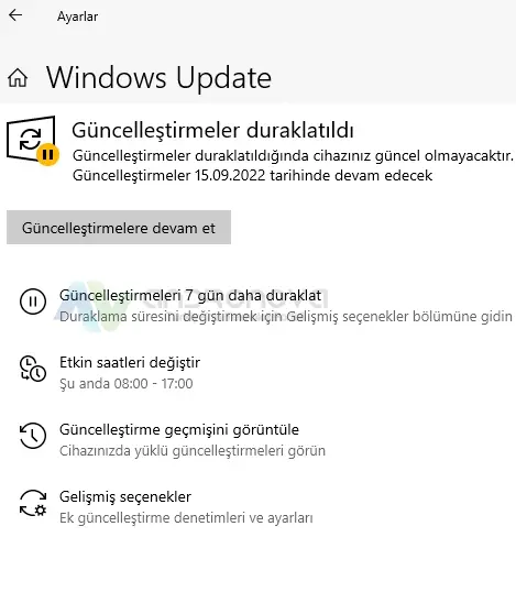 Windows 11 otomatik guncelleme 2
