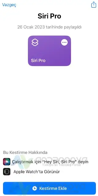ChatGPT iPhone da Siri 6
