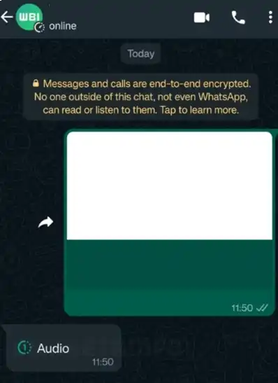 WhatsApp kaybolan sesli mesaj 3
