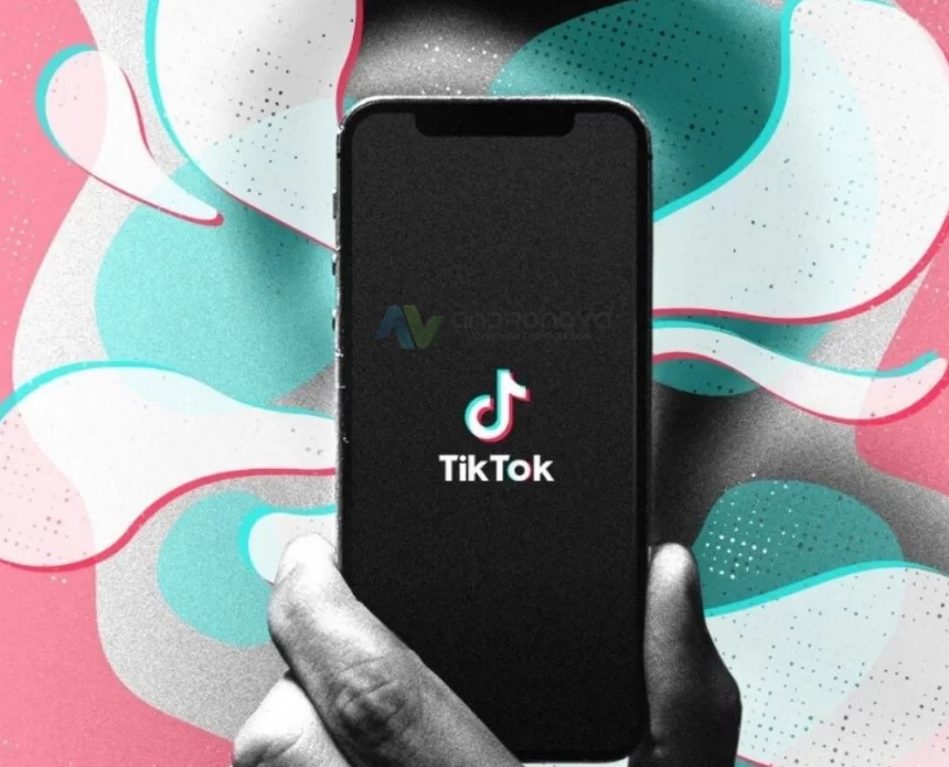 TikTok Web Sitesi Ekleme Çıkmıyor